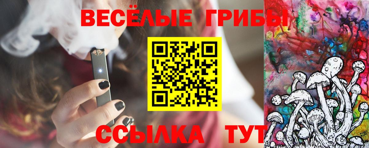 Галлюциногенные грибы прущие грибы Михайловка
